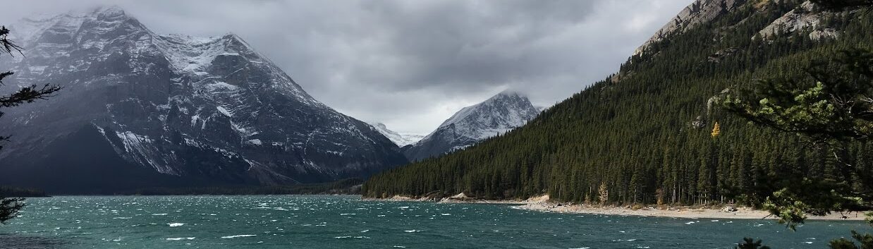 Ravna Gora Serbian Heritage Society